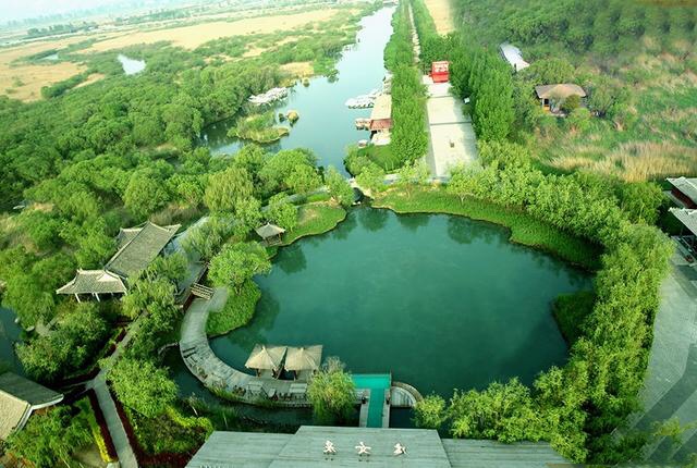 冬天来合阳，赏万顷芦荡，候鸟齐飞（组图）