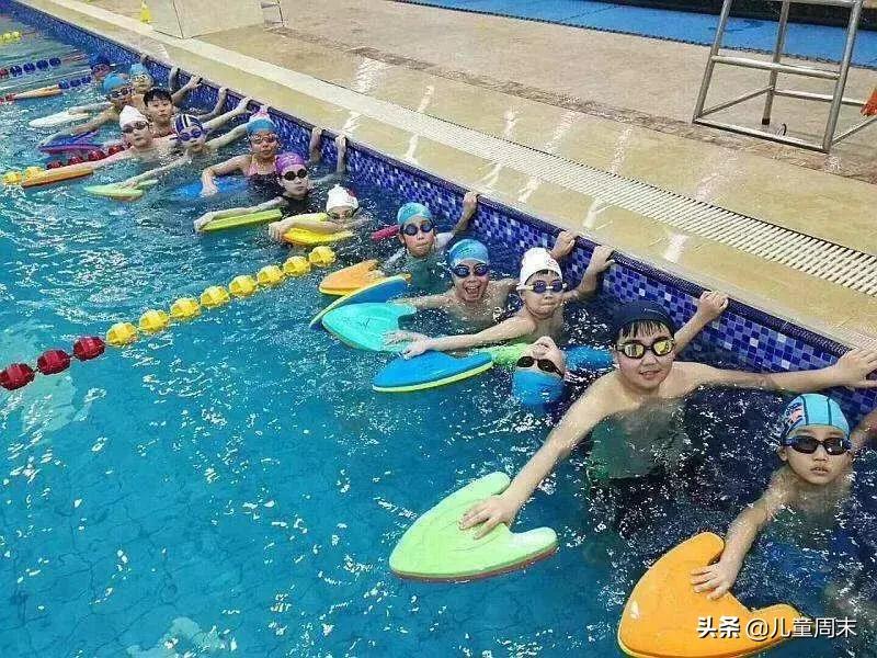 深圳游泳教练培训学校有哪些,深圳成人游泳培训班哪里好