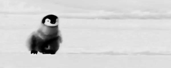 傲娇的六公主,六公主傲娇名场面