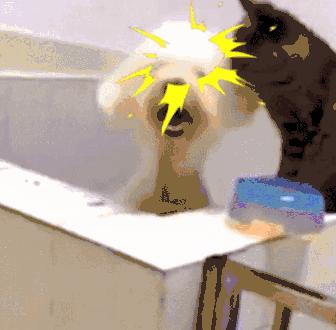 “她用的居然是卫生棉条,一定不是好女孩……”