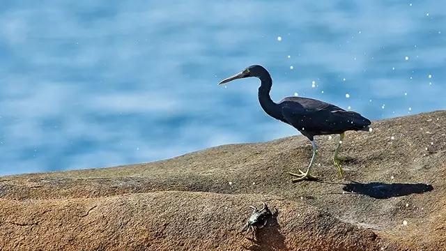 两天1晚珠海外伶仃岛跟团游,珠海外伶仃岛旅游攻略
