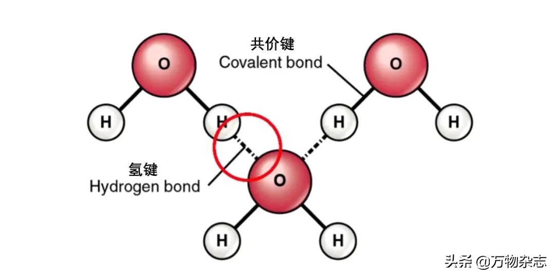 为什么衣服总是皱巴巴的,为什么买的衣服总是皱