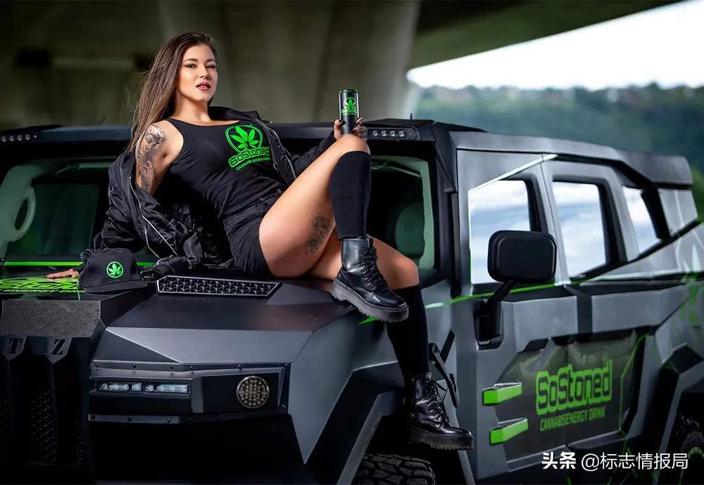 骷髅轰炸机！这应该是世界上最「硬核」的车标了