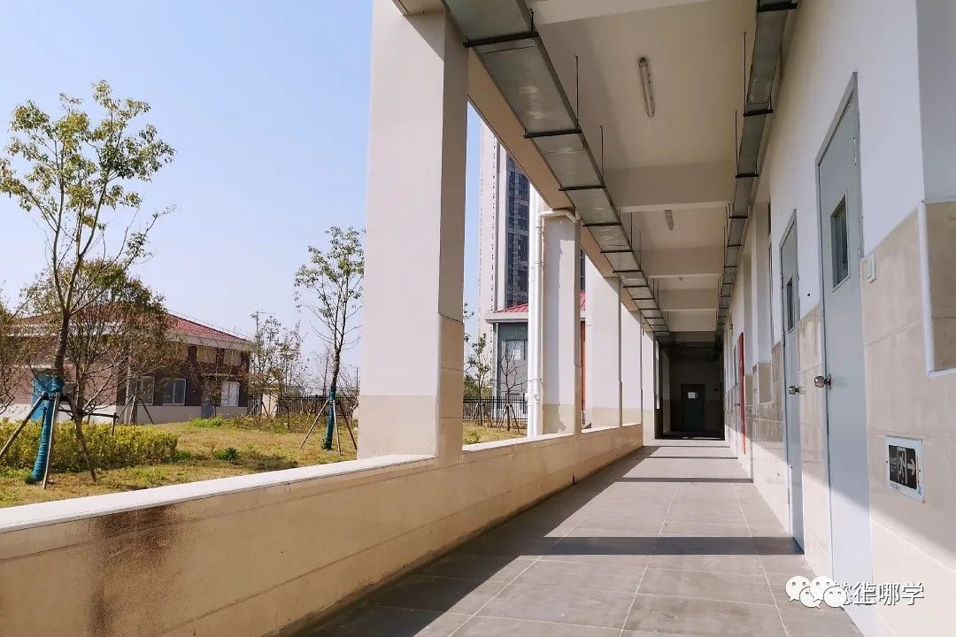 浦东教育招生官网,浦东新区教育