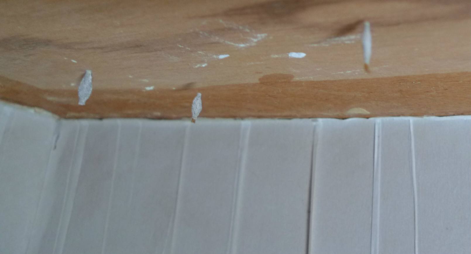 衣柜里面有褐色的小虫子怎么办,衣柜长小虫子是什么原因