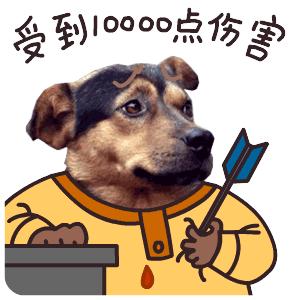 狗狗害怕主人怎样缓解,狗狗害怕主人还能恢复信任吗