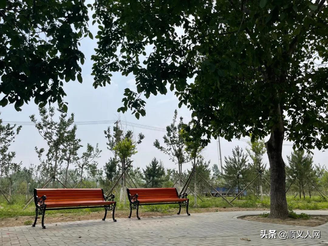 顺义体育公园,顺义新开的公园在哪