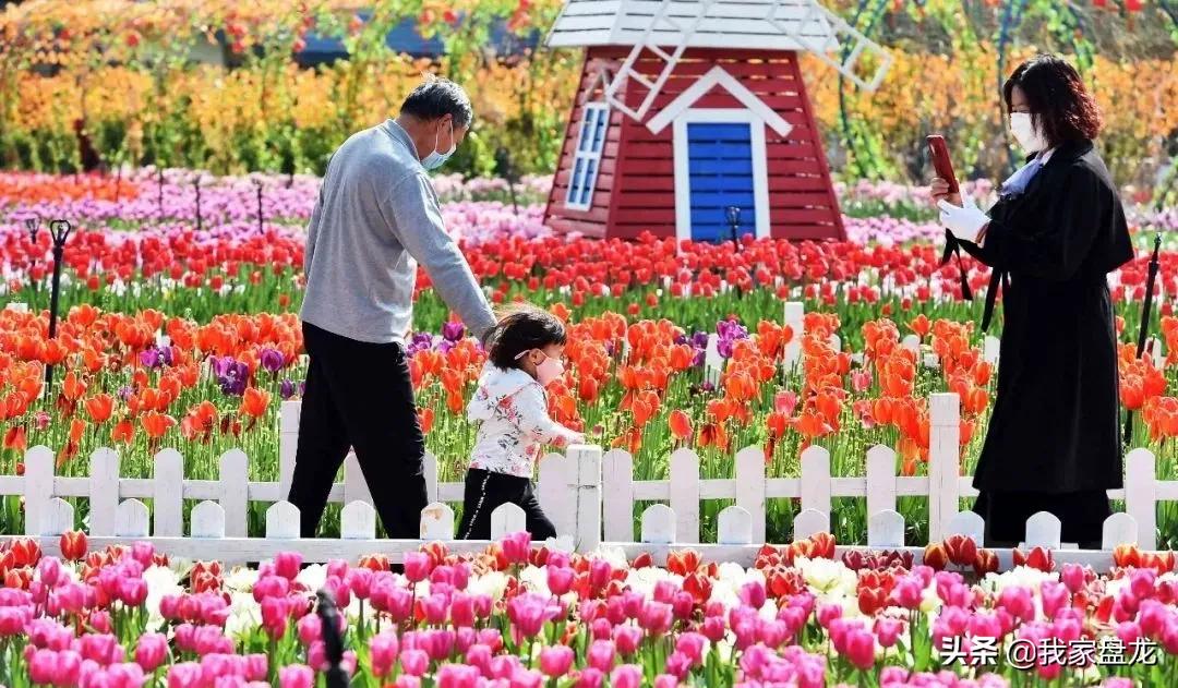 重大利好盘龙城,大城市提升幸福感