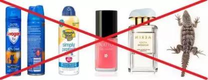 澳洲还能代购直邮吗,澳洲新政什么时间宣布