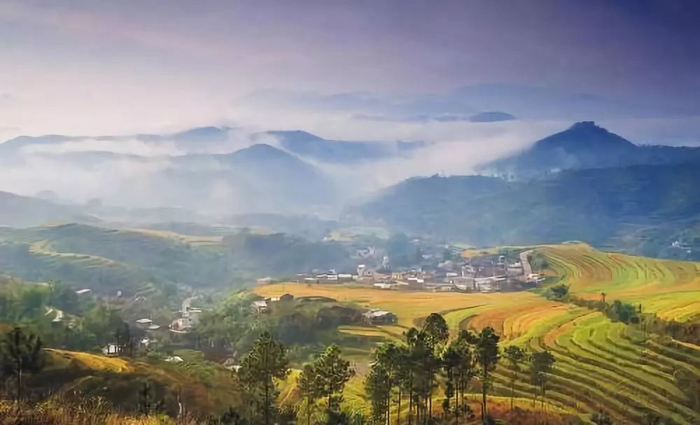 涯系客家人，涯爱转梅州了