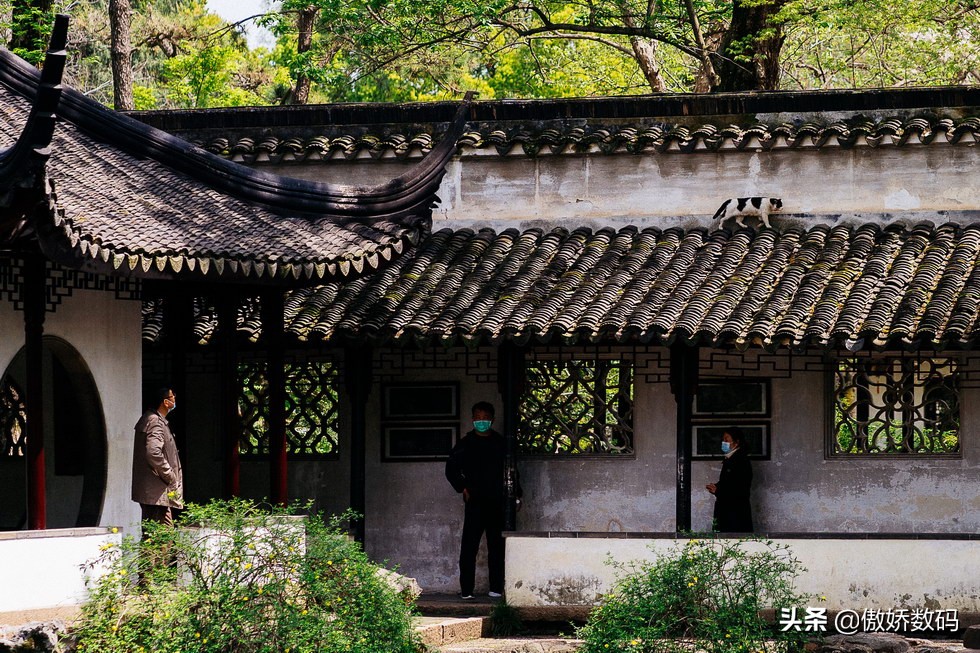 拙政园最让人欣赏的地方,拙政园十大特色