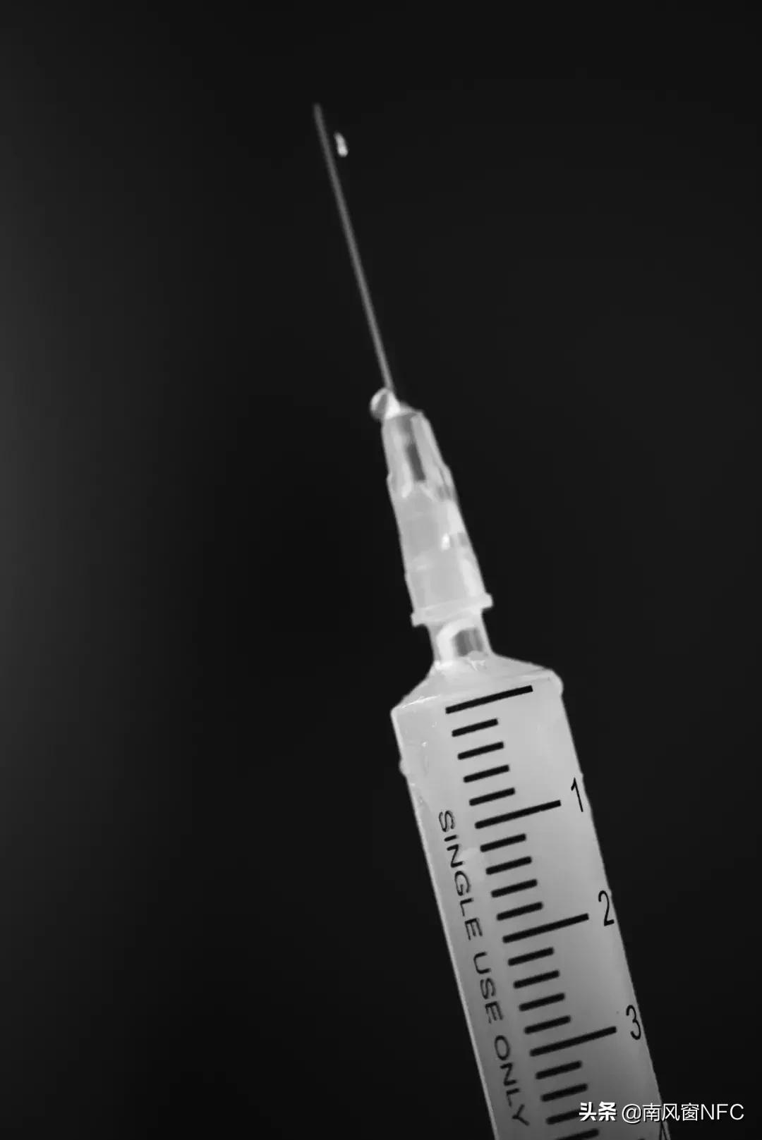 夺命蜂巢,夺命三头鲨中文版