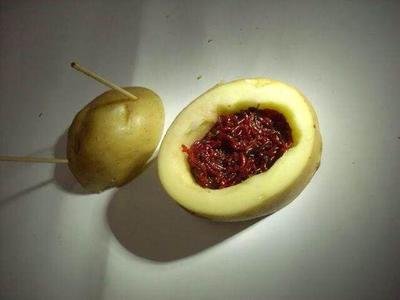 保存红虫最简单的方法,冬天钓鱼红虫的保存方法