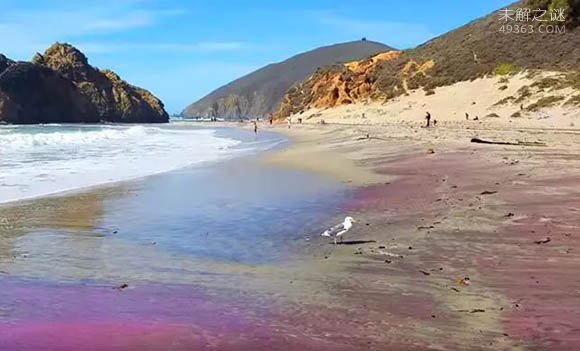 印尼美丽的海滩,世界上唯一的粉色海滩