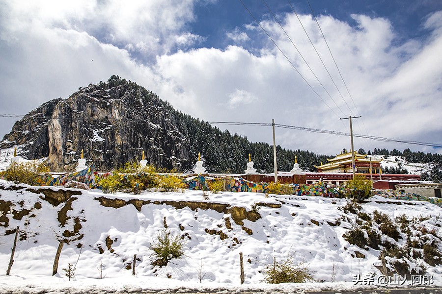 宸濊タ楂樺師澶ц崏鍘熺殑璺笂鐓х墖,闈掕棌楂樺師涓婄殑鑽夊師闆北椋庢櫙