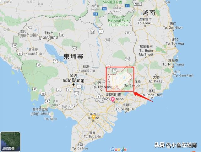 《走进越南》041期:世界腰果看越南,越南腰果在平福!