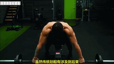 背部肌肉训练计划虐出完美的背肌,背部各个肌肉位置锻炼方法