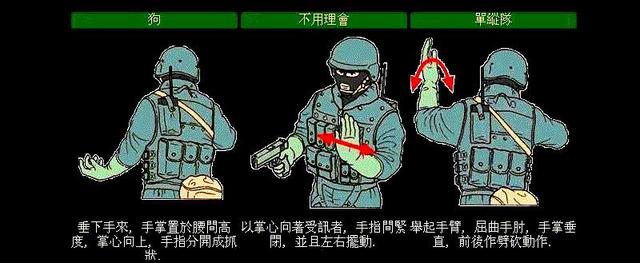 手投影在墙上的手势图片,手语一只手100个手势图解