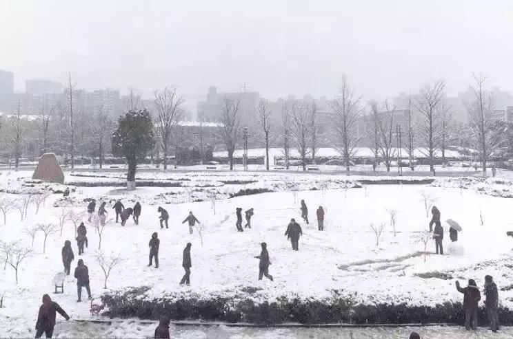 金陵中学哪里最好,金陵中学今日新闻