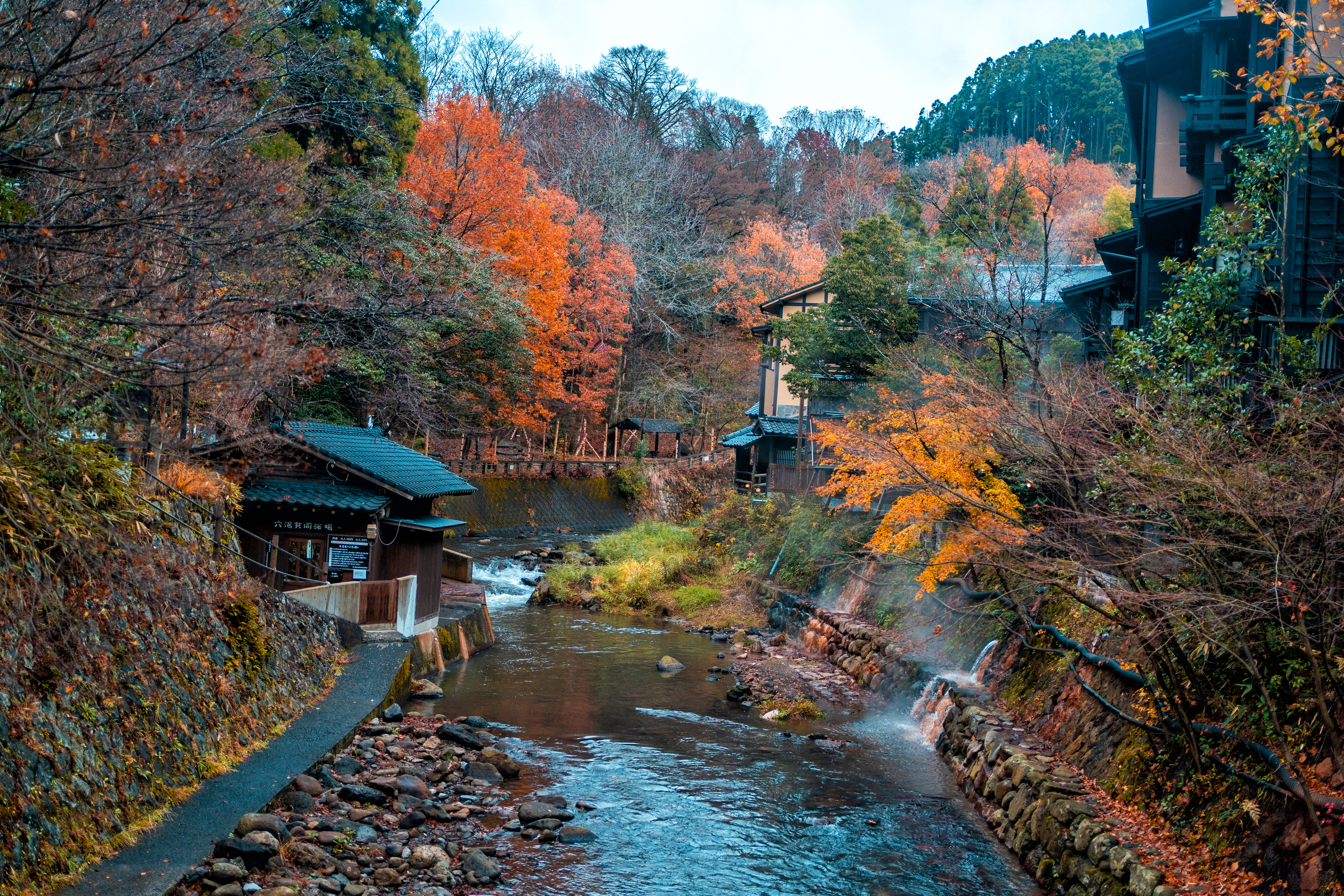 日本九州|一个被温泉唤醒的秘境，超超超小众的日本旅行目的地