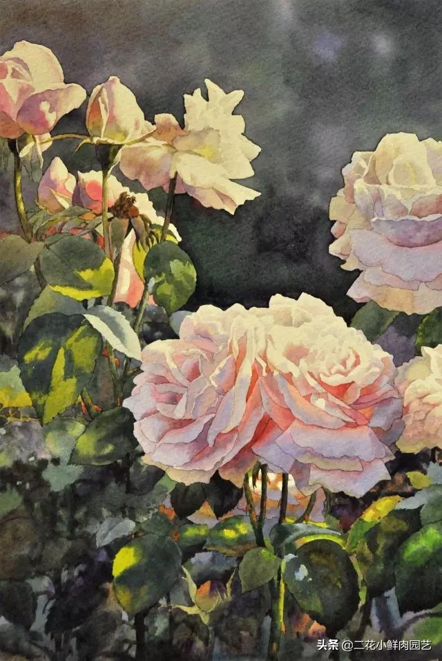 100种花卉绘画,100多张花卉线描手稿素材赶快收藏