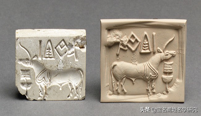 字五行属什么怎么定的,文字起名五行属什么