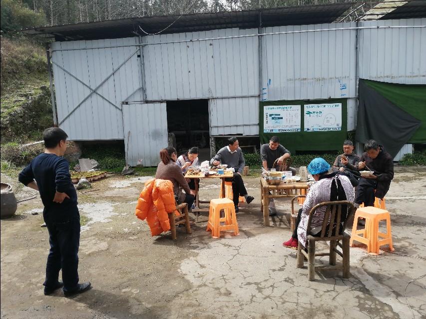 四明山哪里有山黄精,上方山三宝之一黄精