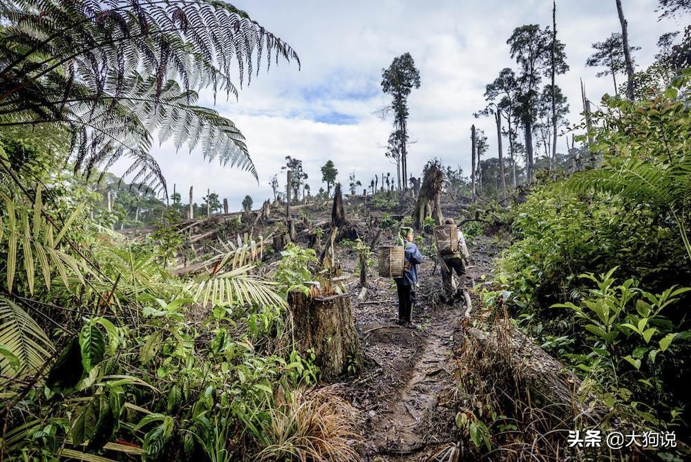 棣欐祿鍜栧暋闃挎媺姣斿崱,闃挎媺姣斿崱棣欓唶鍜栧暋