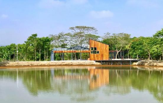 碧桂园助力美丽乡村建设,碧桂园助推乡村振兴奔向美好生活