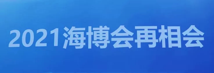 海精灵带你第一时间零距离感受2020海博会盛况