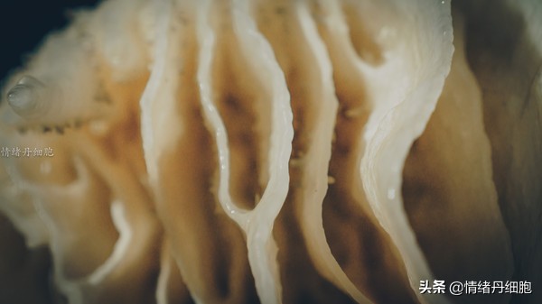 银狐洞风景区旅游路线攻略,游银狐洞