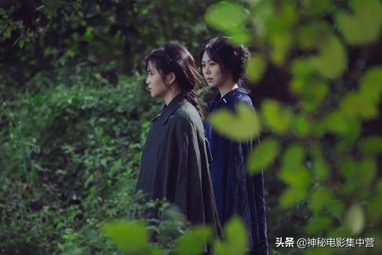 小姐：用同性之爱，将矛盾与压抑、支配和欺骗毫厘不差勾勒出来