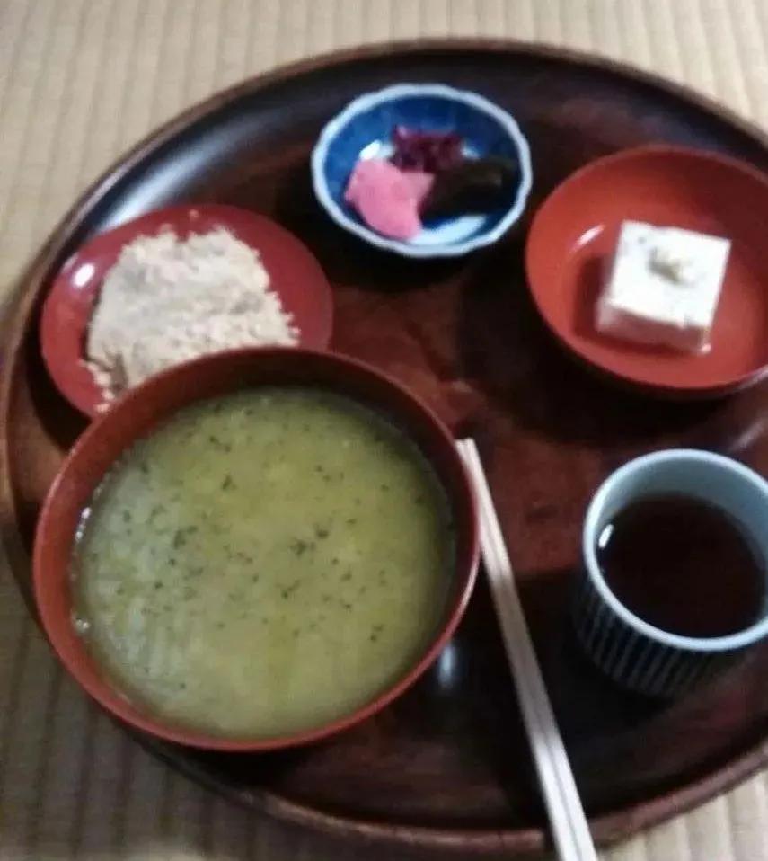 四月天一茶一粥,最美四月天奔赴一场春天的约会