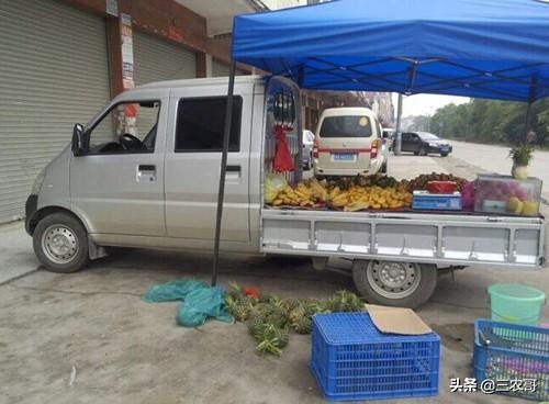 8个适宜在农村创业致富的项目,4个适合农村挣钱好项目推荐