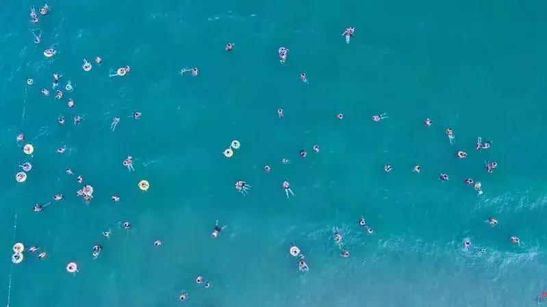 广东开海吃海鲜攻略,开海吃海鲜攻略