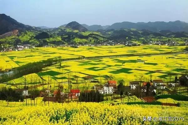 正月燎疳啥意思,燎疳是什么寓意