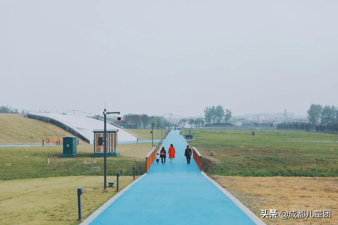 双流空港体育公园看飞机攻略,周末去空港花田