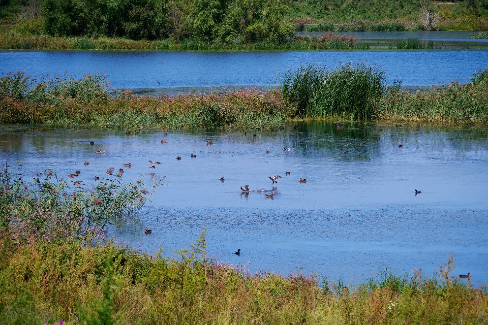 榻愰綈鍝堝皵瀚╂睙涓滄按鐝嶇鍏洯,榻愰綈鍝堝皵瀚╂睙涓滄按鐝嶇婀垮湴鍏洯