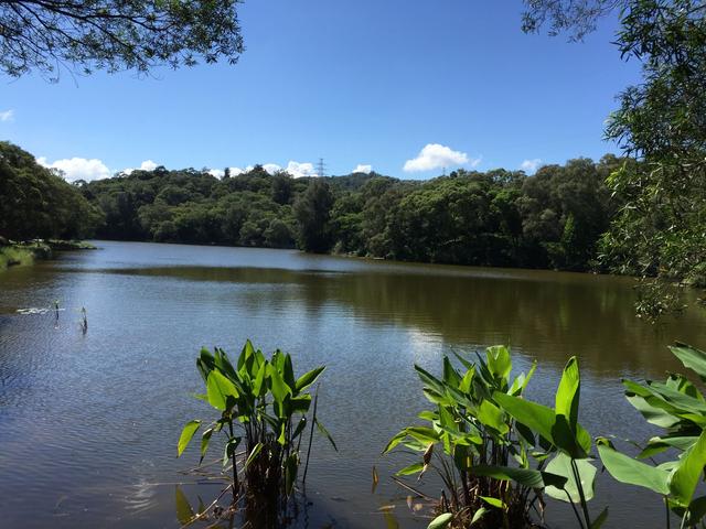 中国最美花园大学,全国十大美丽校园中国海洋大学