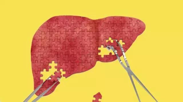 腹部突出没关系!做好这几件事,干掉大肚腩,快速养出腹肌马甲线