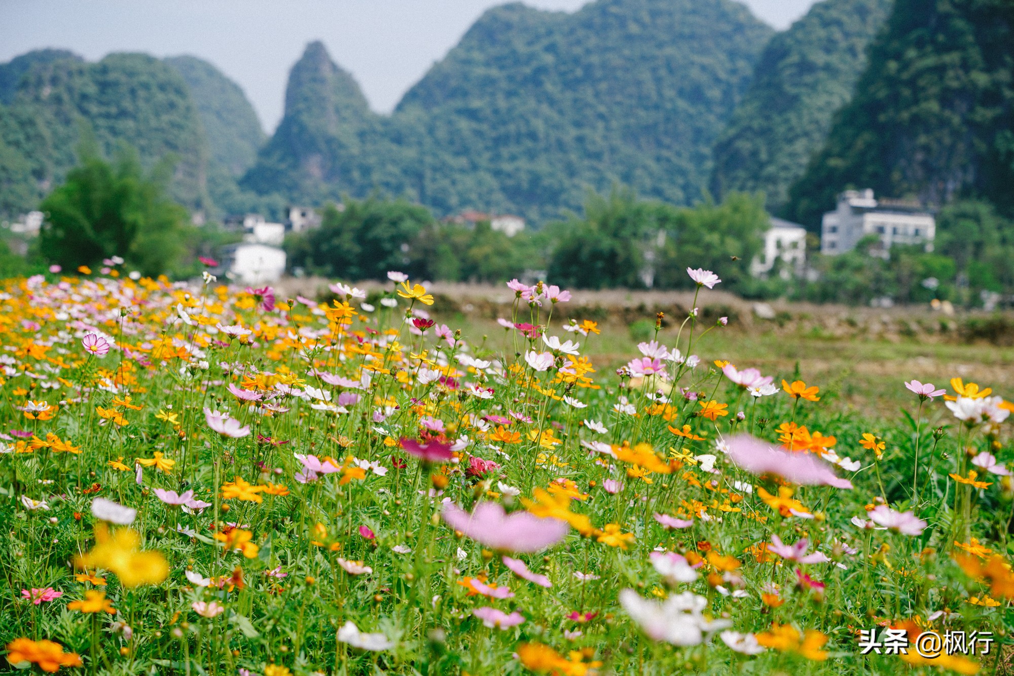 桂林阳朔旅游攻略一天半,最详细桂林阳朔旅游攻略