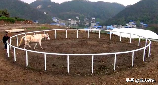 探秘荒废的城堡,探秘废弃堡垒