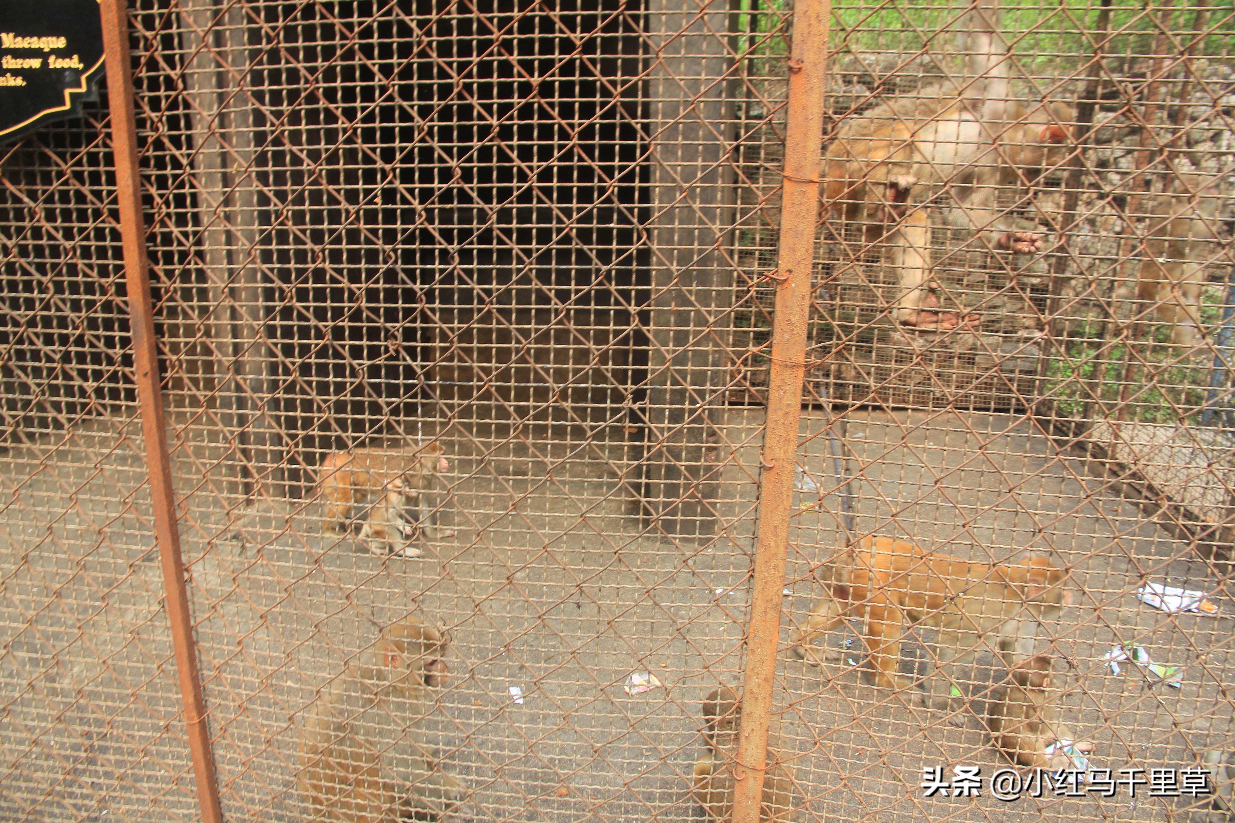 焦作云台山徒步攻略,河南云台山之旅