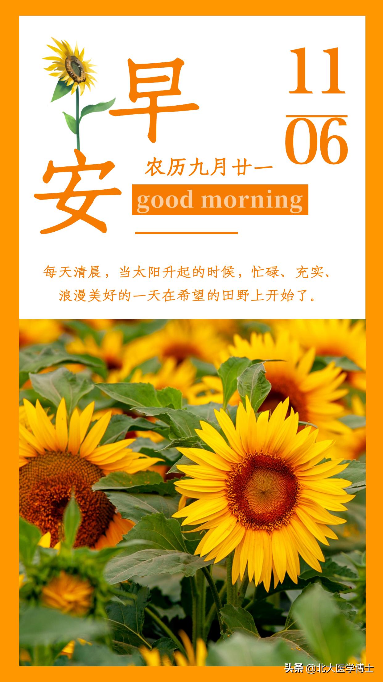 中医大姨妈延迟的原因有哪些,调理大姨妈量少的中药多久见效