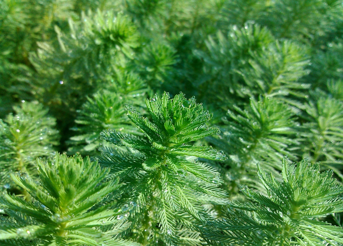 新疆死海复活水在哪里,新疆死海最新视频