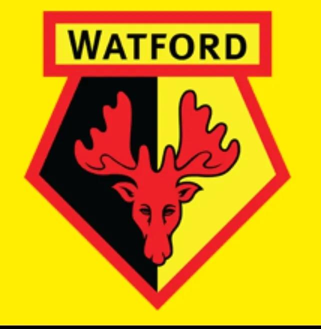 足球联赛大黄蜂,大黄蜂多特竞彩