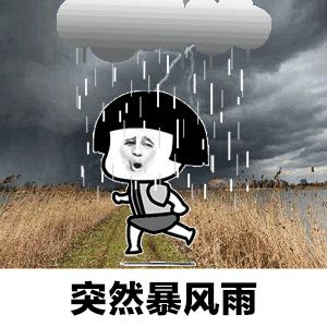 台风白鹿来深圳了吗,台风白鹿什么时候登陆深圳