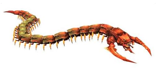 蜈蚣的毒能毒到鸡吗,公鸡大战五毒之首蜈蚣