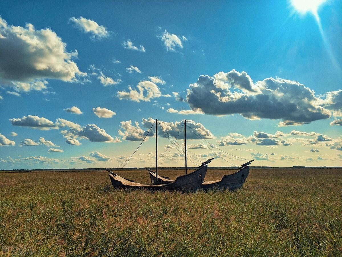 哈药股份为什么亏损不退市,哈药股份是不是被低估了