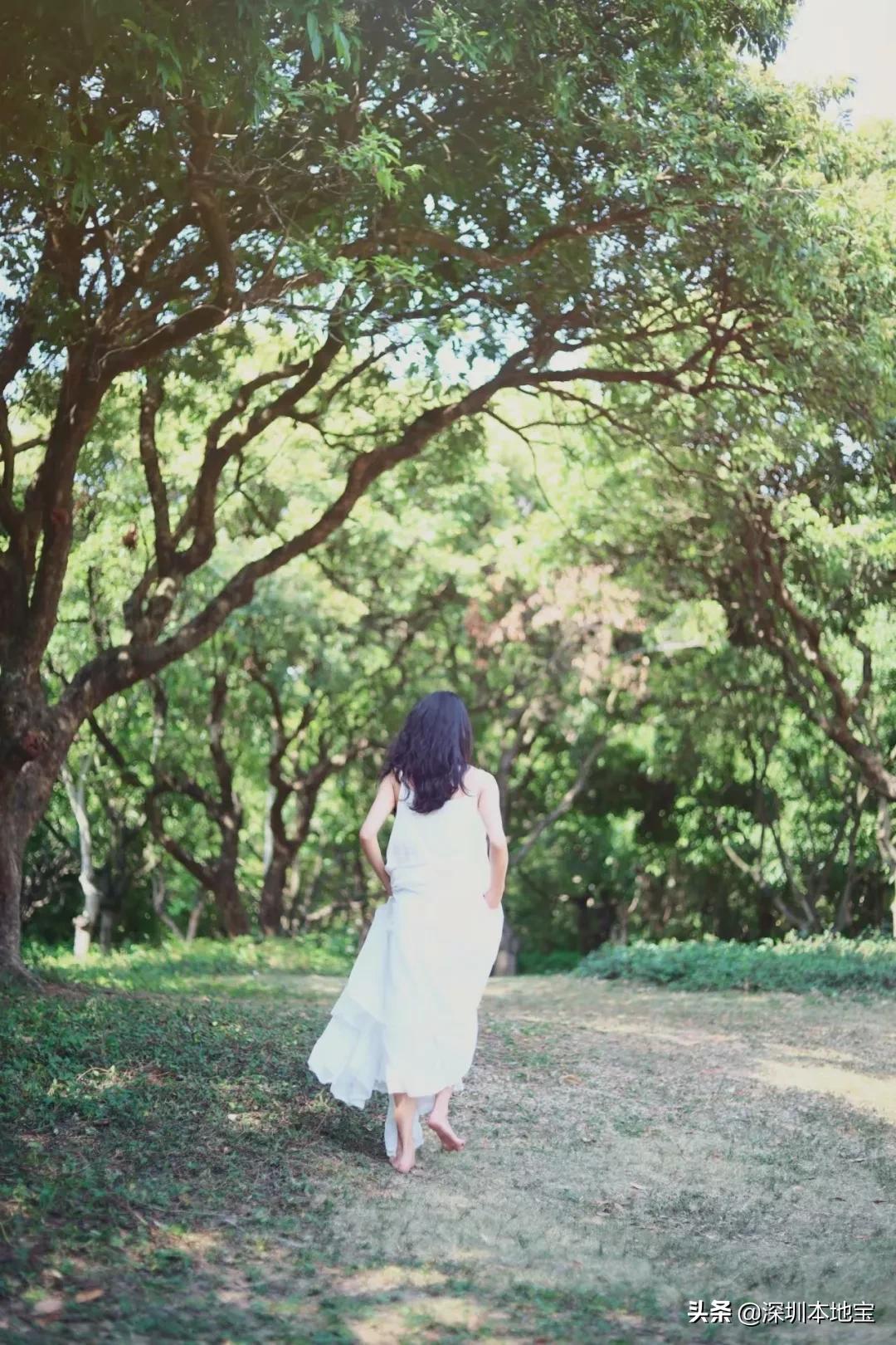 深圳最值得免费去的十大景点,深圳有哪些地方是免费景点